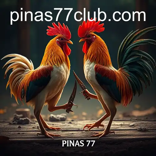 VIP Service PINAS77 - 24/7 Support and Exclusive Benefits